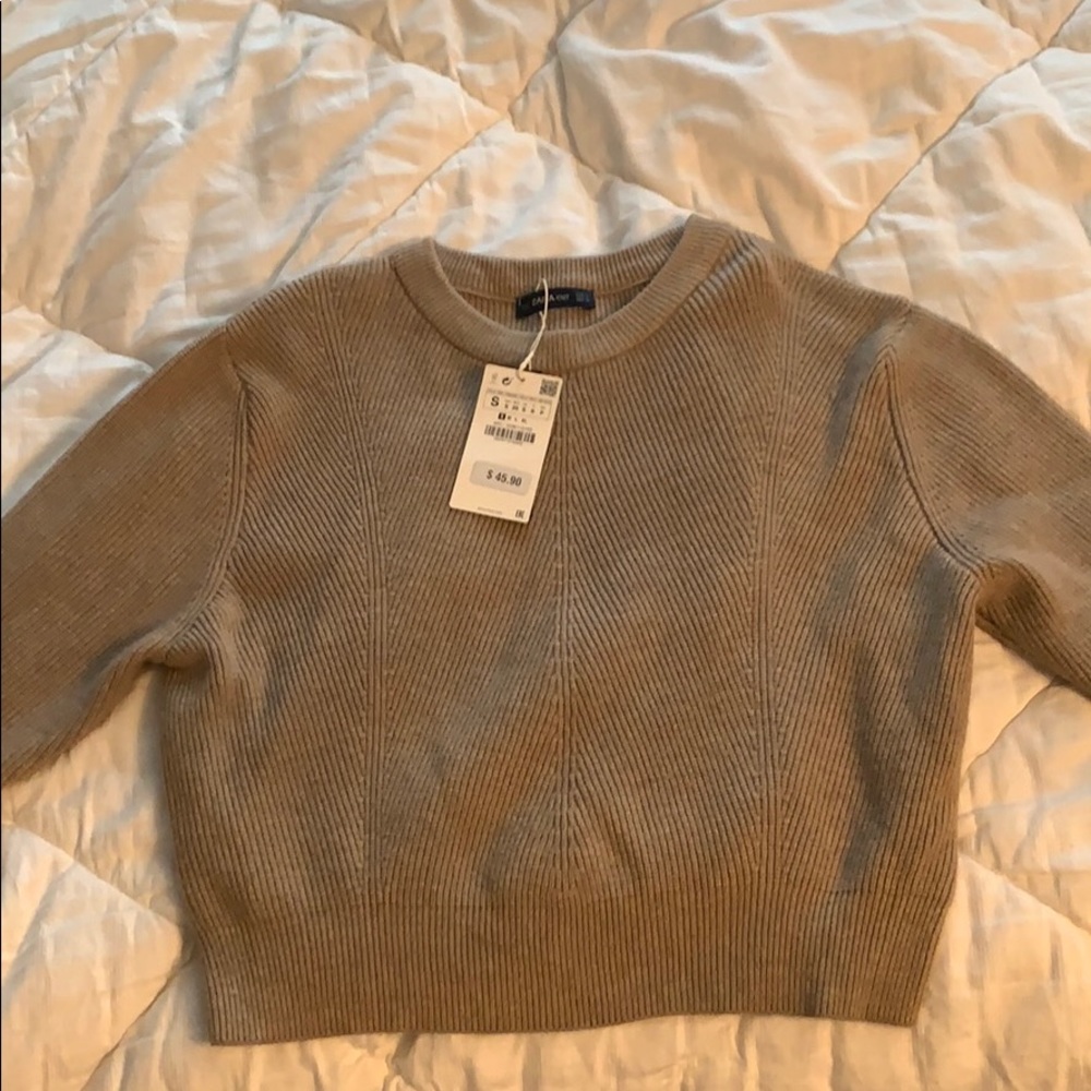 Zara sweater